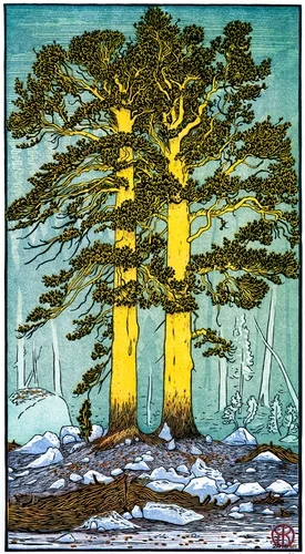 Twin Pines II — Tom Killion